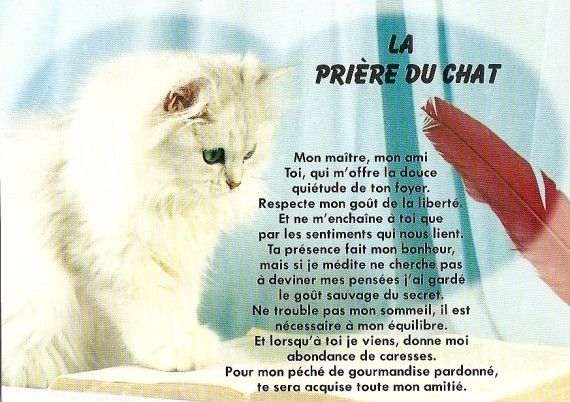 Chat texte gratuit sans inscription