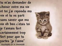 texte amour